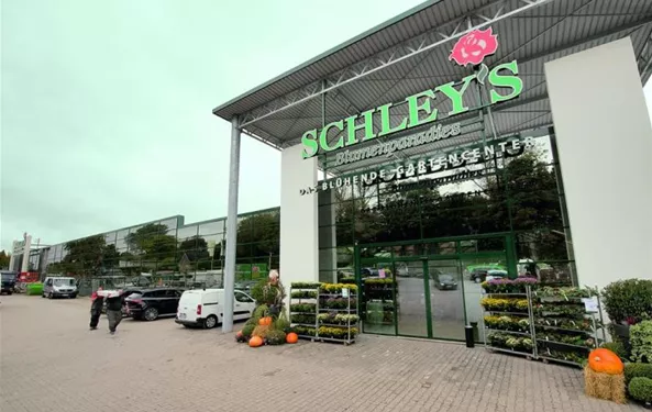 Schley's Blumenparadies Mettmann Gmbh & Co Kg www.blumenparadies.de