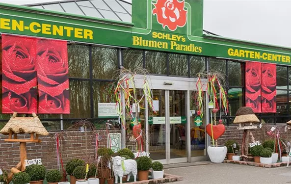 Schley's Blumenparadies Mettmann Gmbh & Co Kg www.blumenparadies.de