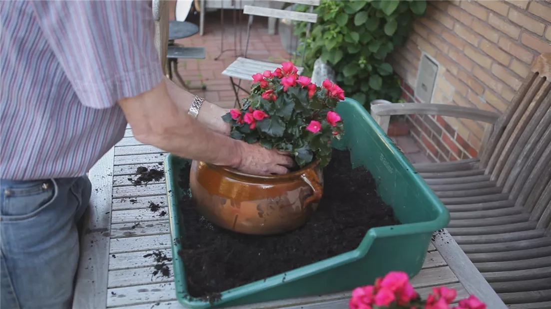 Blumenkübel - Bepflanzen mit mehreren Sommerblumen.jpg