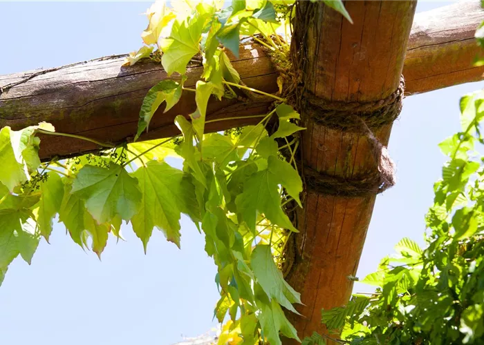 Mit dem richtigen Balkon-Sichtschutz einen Rückzugsort schaffen Mit dem richtigen Balkon-Sichtschutz einen Rückzugsort schaffen