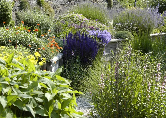 Das Staudenbeet – ein Blütenmeer im Garten Das Staudenbeet – ein Blütenmeer im Garten