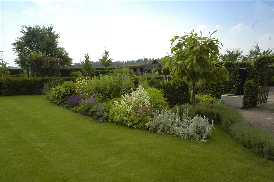 GS619970.jpg GS619970.jpg