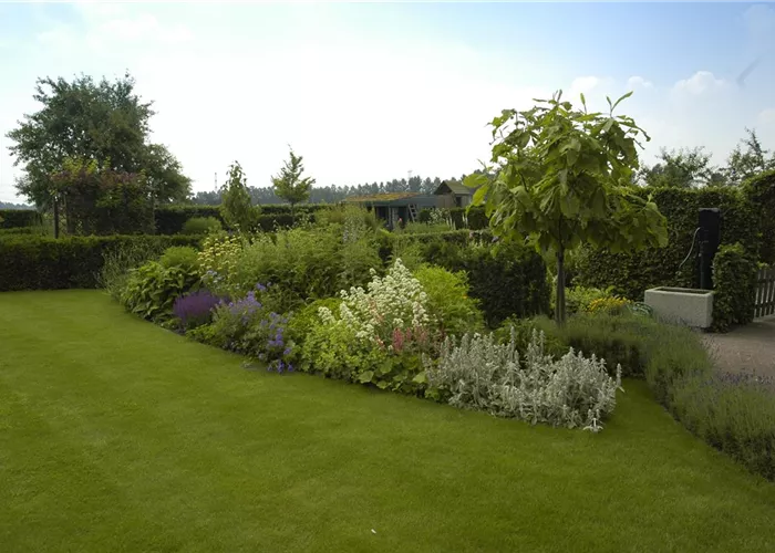 Wasser für den Rasen – Bewässerungssysteme und Tipps Wasser für den Rasen – Bewässerungssysteme und Tipps