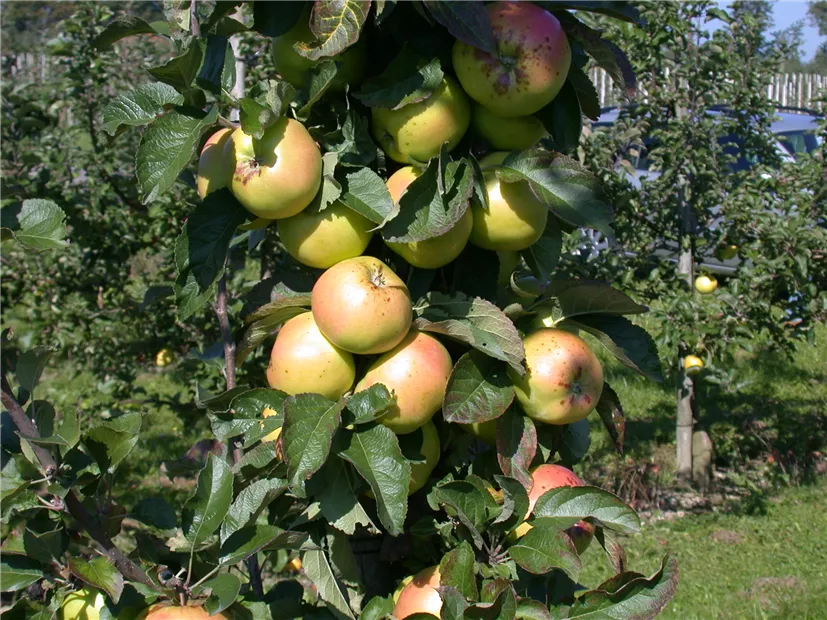 GS614317.jpg