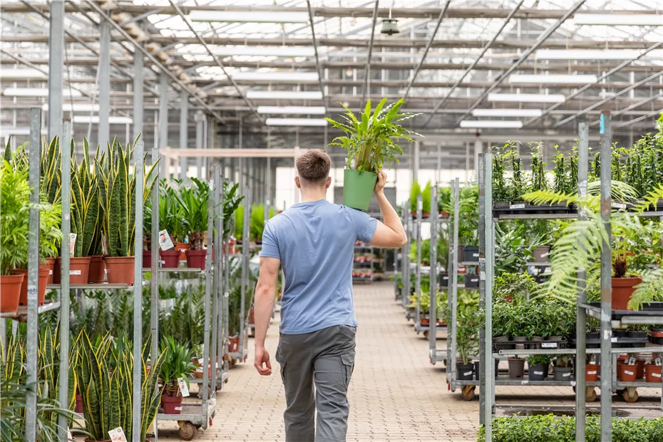 GS732363.jpg GS732363.jpg