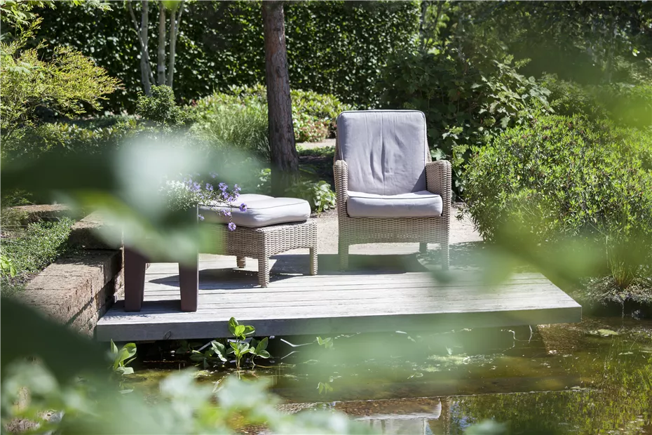 GS428346.jpg GS428346.jpg