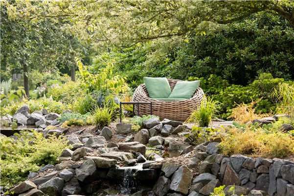 GS669406.jpg GS669406.jpg