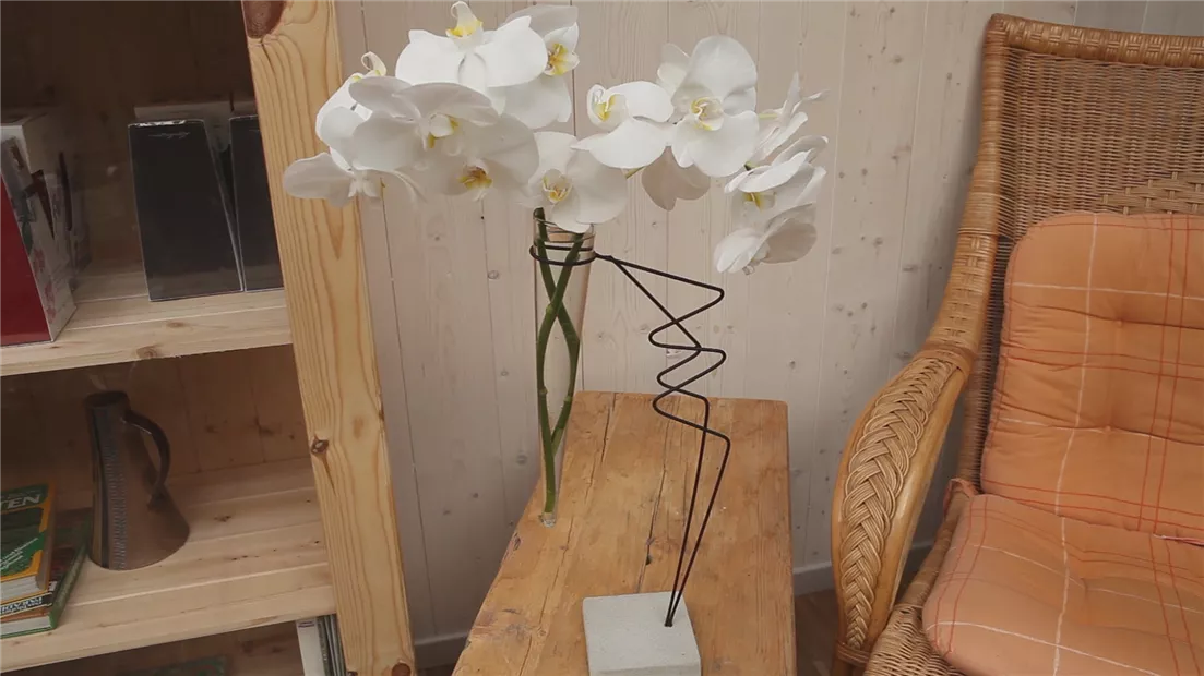 Orchidee - Anschneiden für den Heimgebrauch (thumbnail).jpg