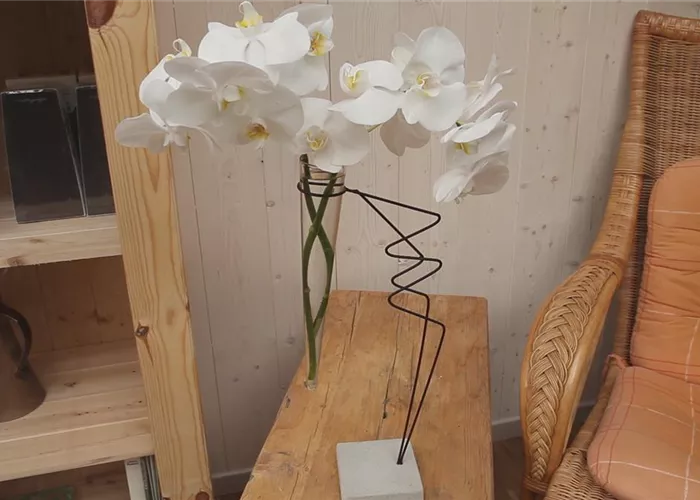 Orchidee - Anschneiden für den Heimgebrauch