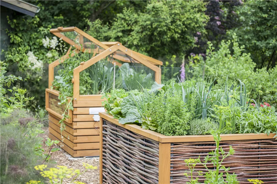 GS497860.jpg GS497860.jpg