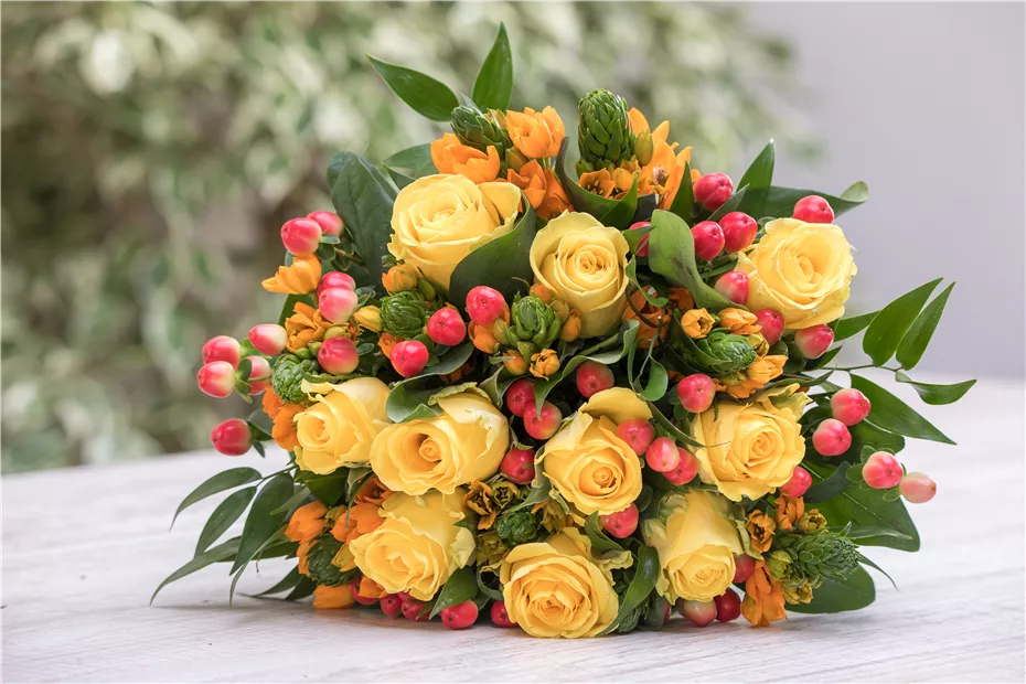 GS529262.jpg GS529262.jpg