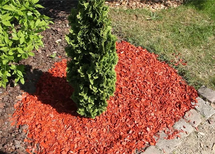 Mulch - Einsatz im Garten