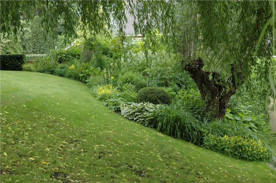 GS614212.jpg GS614212.jpg