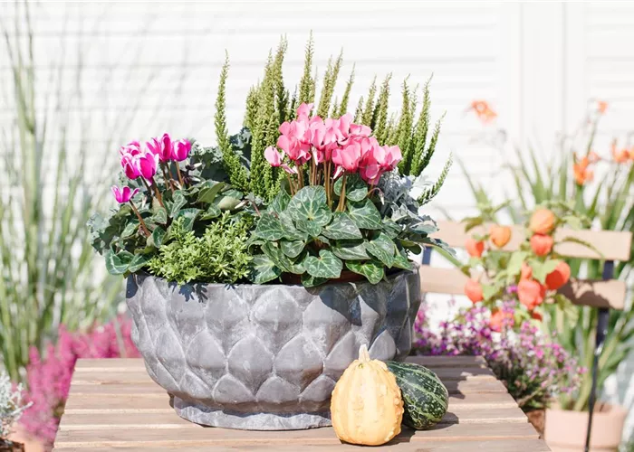 Aus alt mach neu: Blumenkübel nicht wegwerfen! Aus alt mach neu: Blumenkübel nicht wegwerfen!