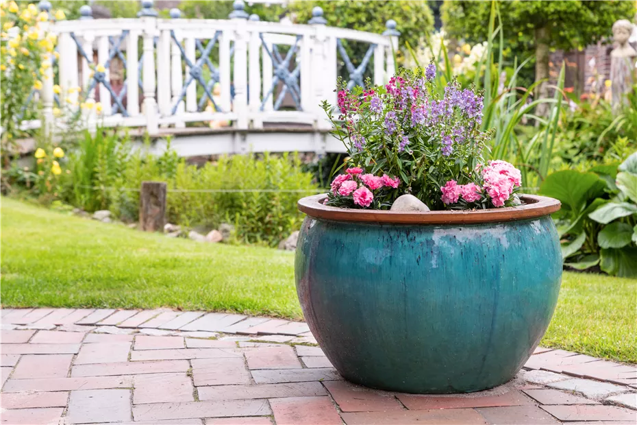 GS747624.jpg GS747624.jpg