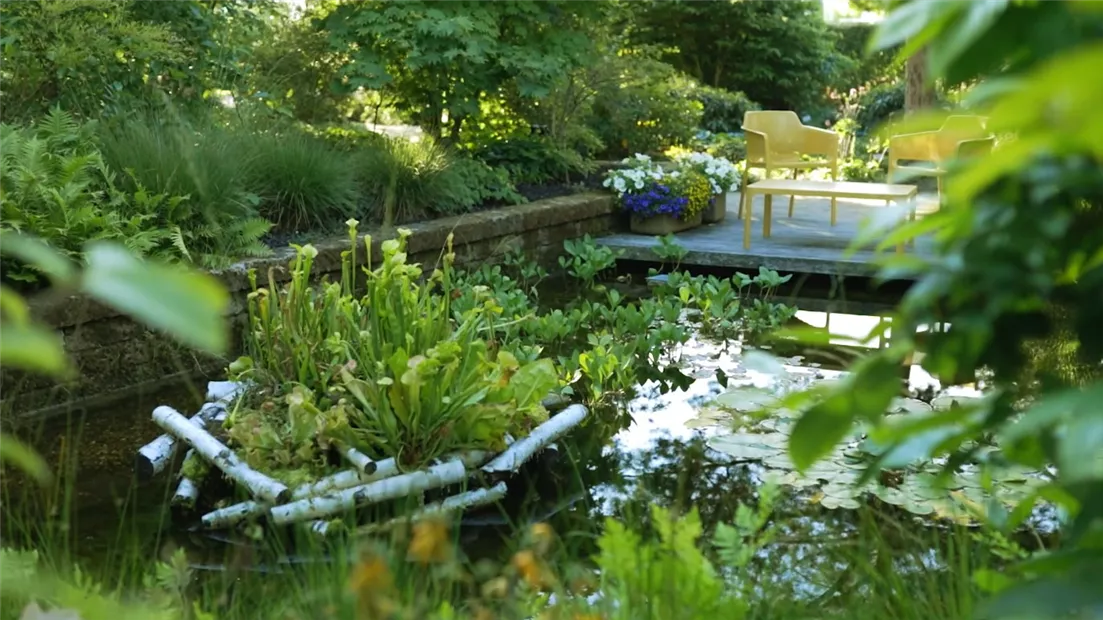 Gartengestaltung- Waldgarten (Thumbnail).jpg Gartengestaltung- Waldgarten (Thumbnail).jpg