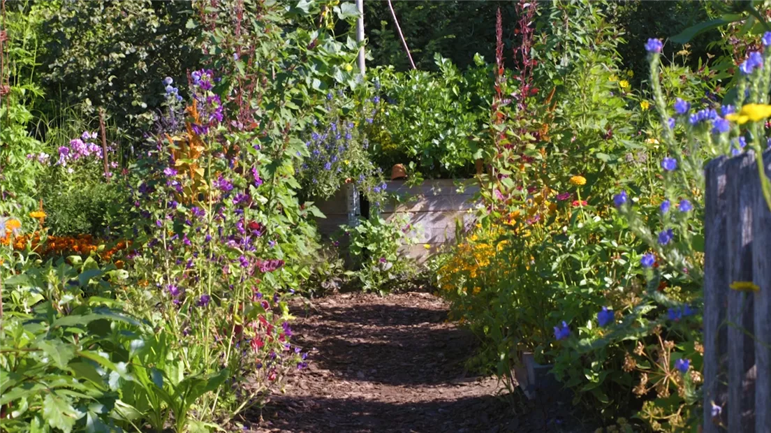 Gartengestaltung - Bauerngarten (Thumbnail).jpg Gartengestaltung - Bauerngarten (Thumbnail).jpg