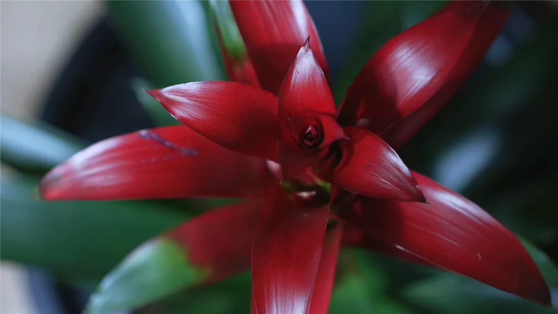 Ashampoo_Snap_Dienstag, 21. Juni 2022_09h03m06s_001_.jpg