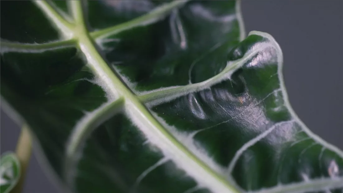 Ashampoo_Snap_Donnerstag, 23. Juni 2022_11h51m45s_003_.jpg