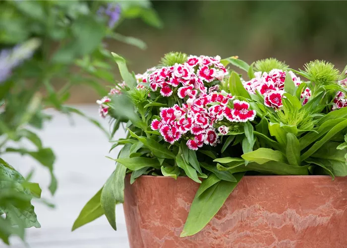 Balkon & Terrasse Balkon & Terrasse