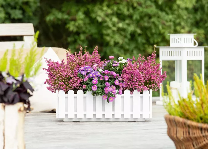 Blumenkästen & Blumenkübel Blumenkästen & Blumenkübel