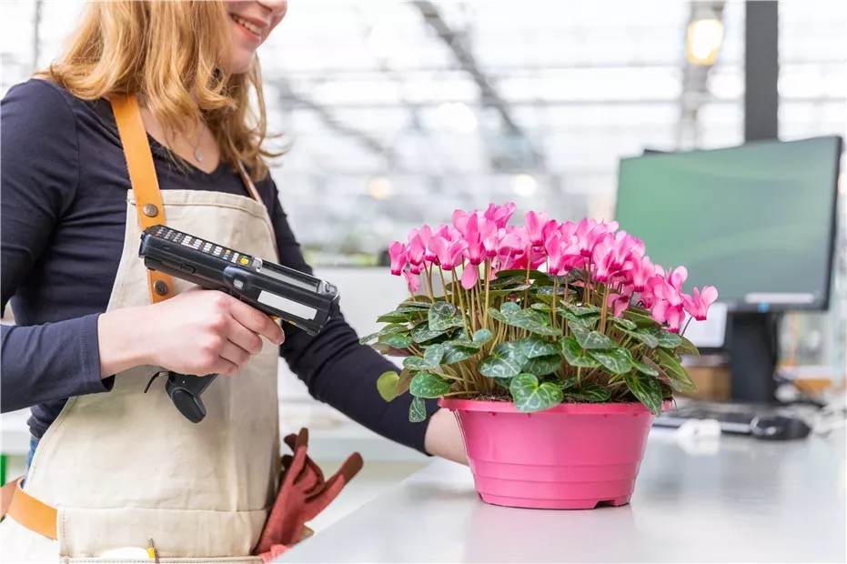 GS732411.jpg GS732411.jpg