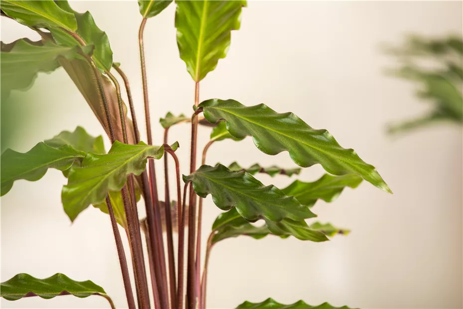 GS704859.jpg GS704859.jpg