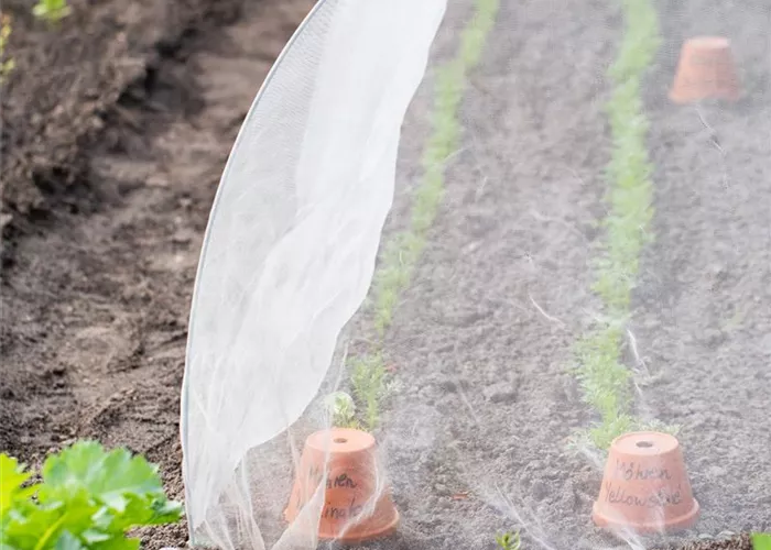 Pflanzenschutz Pflanzenschutz