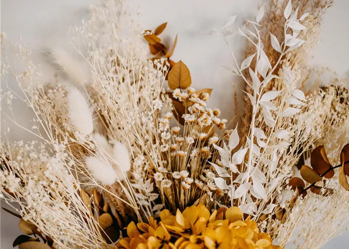 Trockenblumen Trockenblumen