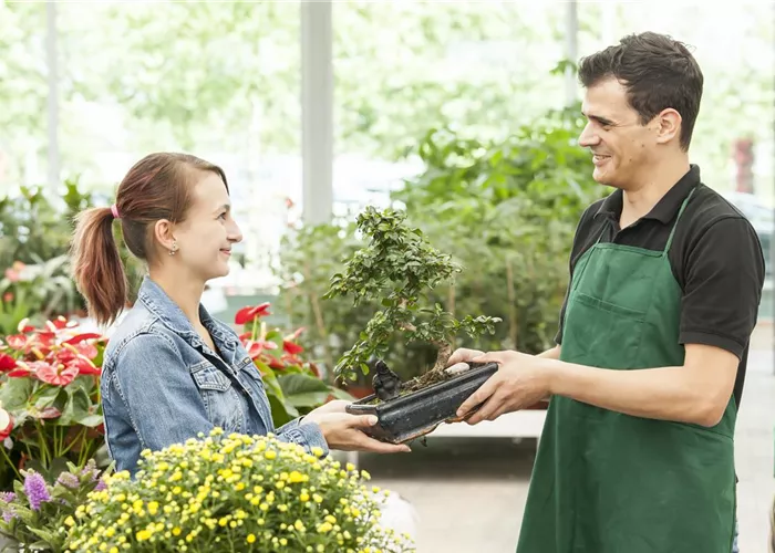 Expertenberatung Expertenberatung