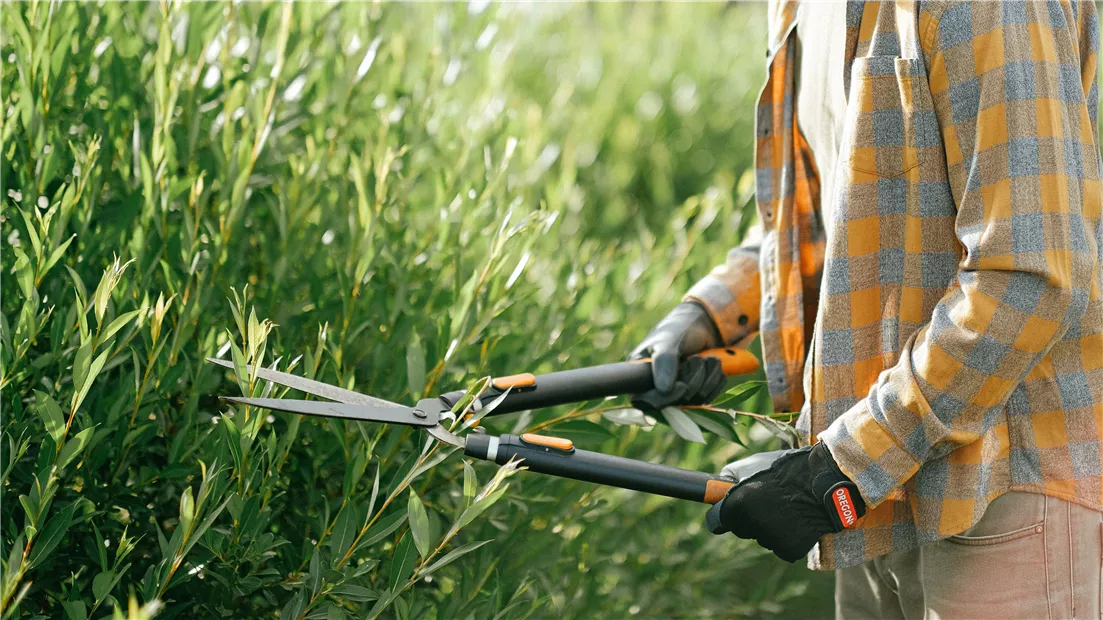 pexels-anna-shvets-5027619-0-633-6082-3421.jpg pexels-anna-shvets-5027619-0-633-6082-3421.jpg