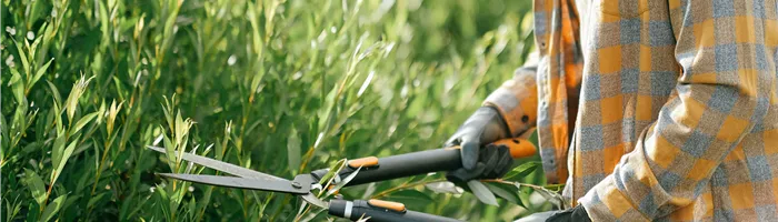 Verkaufsgärtner (w/m/d) Verkaufsgärtner (w/m/d)