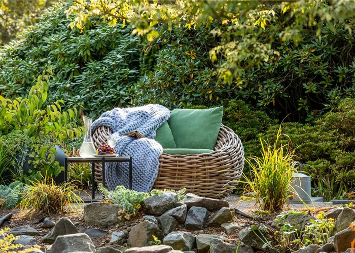 Outdoor & Living Outdoor & Living