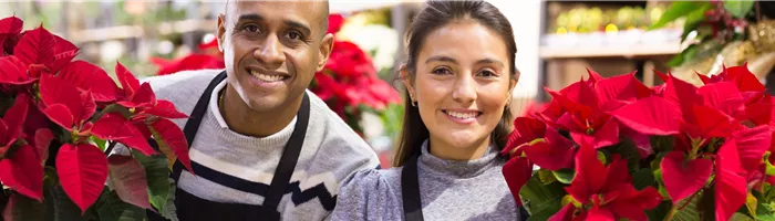 Aushilfen (m/w/d) für unseren Weihnachtsmarkt Aushilfen (m/w/d) für unseren Weihnachtsmarkt