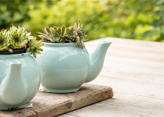 Balkonboutique Balkonboutique