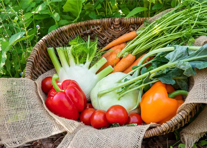 Kräuter & Gemüse Kräuter & Gemüse