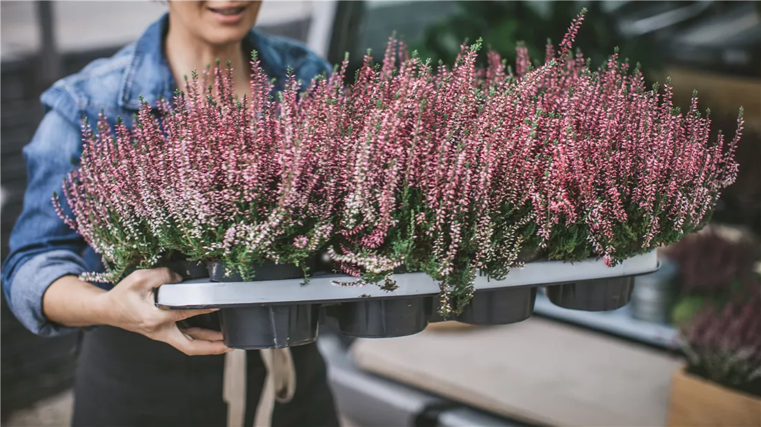 lieferservice_iStock-866210952-0-700-6720-3780.jpg lieferservice_iStock-866210952-0-700-6720-3780.jpg