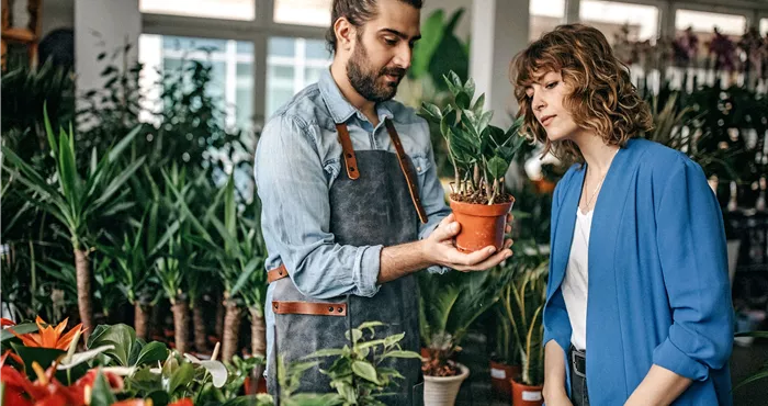 Fachberatung Fachberatung