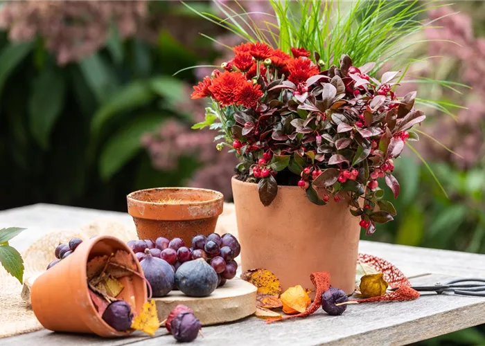 Blumengefäße für Außen Blumengefäße für Außen