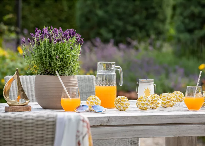 Sommertrends  Sommertrends