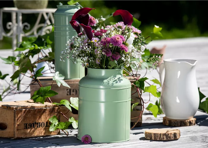 Geschenkideen Geschenkideen