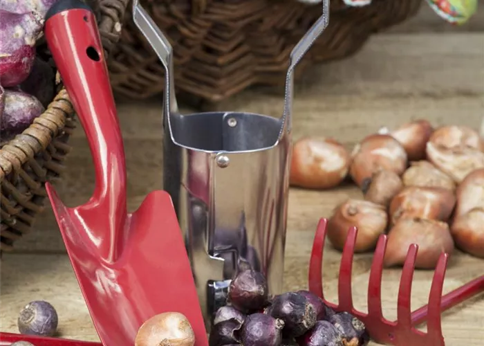 Ab in den Garten – Blumenzwiebeln im Frühjahr einpflanzen Ab in den Garten – Blumenzwiebeln im Frühjahr einpflanzen