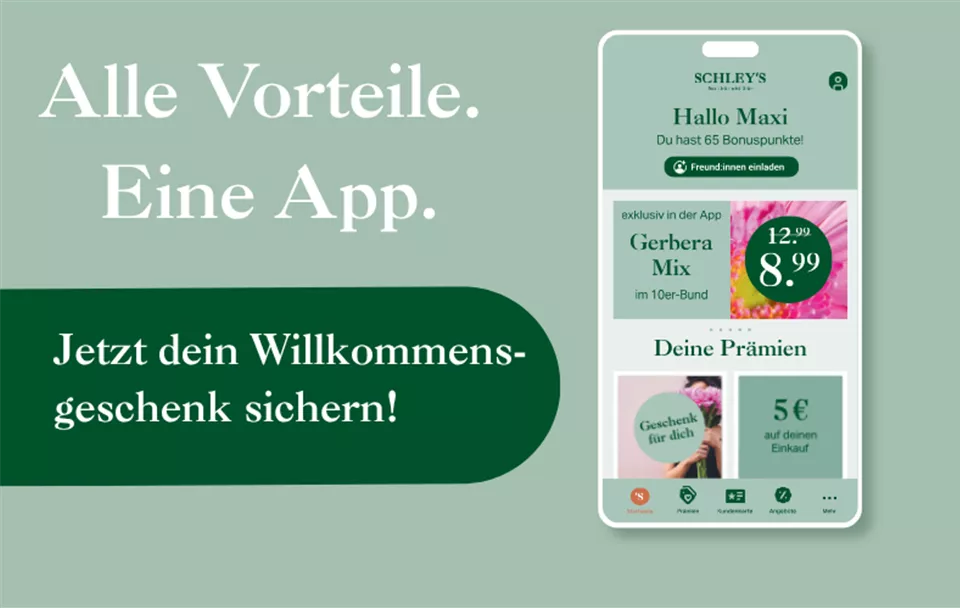 Schleys App3.png