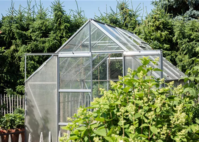 Ein Gewächshaus anlegen Ein Gewächshaus anlegen