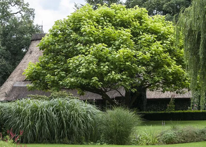 Frühjahrskur für Ihren Rasen Frühjahrskur für Ihren Rasen