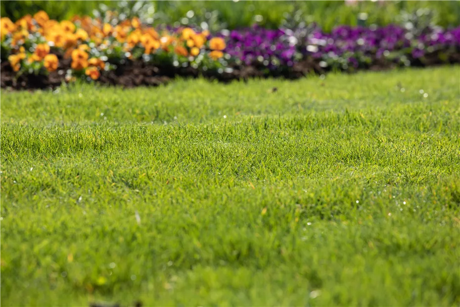 GS620194.jpg GS620194.jpg