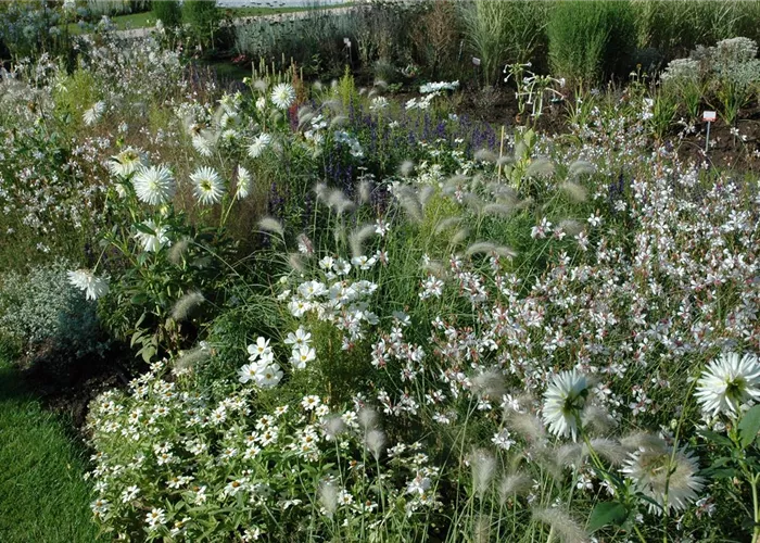 Ganz in Weiß – elegante Gartengestaltung mit Stil Ganz in Weiß – elegante Gartengestaltung mit Stil