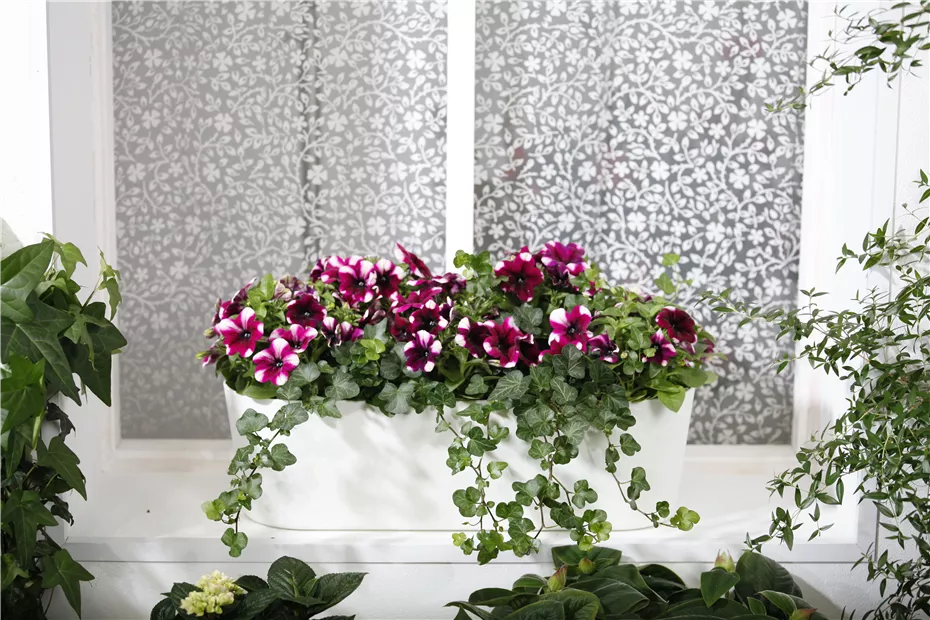 GS477880.jpg GS477880.jpg