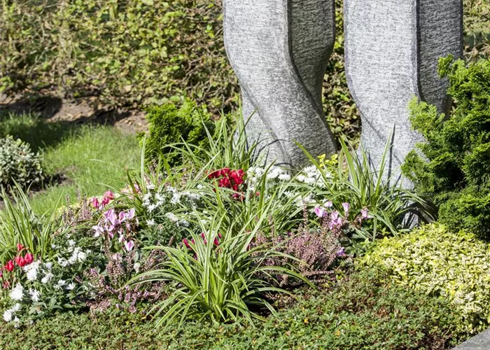 Im Mai bekommt das Grab seine Sommerbepflanzung Im Mai bekommt das Grab seine Sommerbepflanzung