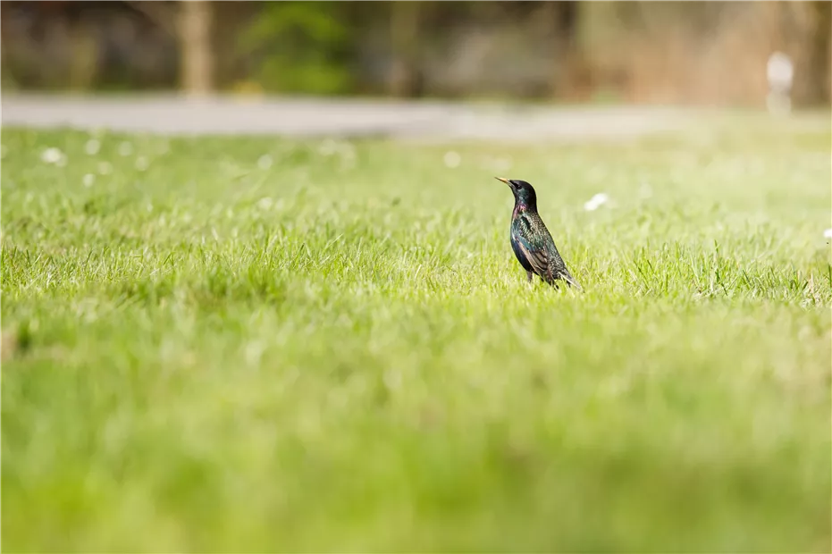 GS534514.jpg GS534514.jpg